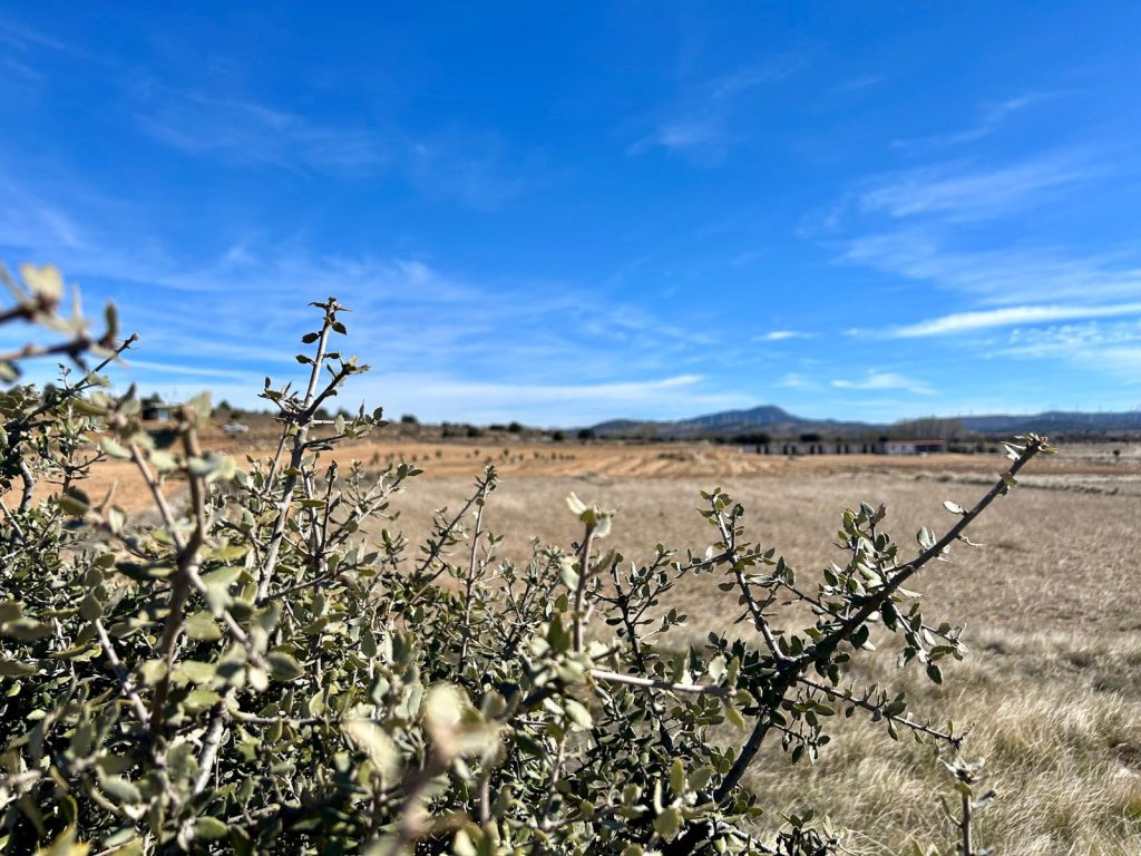 Complejo agroturísitico El Toro